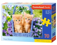 070169_box.webp.webp