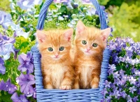 070169.webp.webp