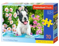 070152_box.webp.webp
