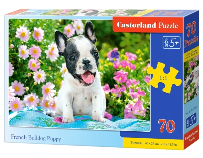 070152_box.webp.webp