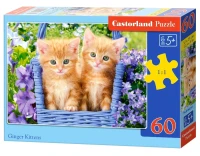 066247_box.webp.webp