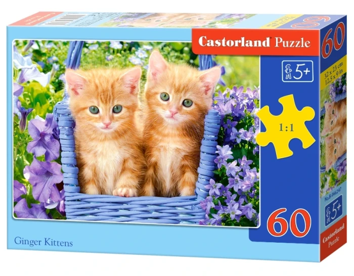 066247_box.webp.webp