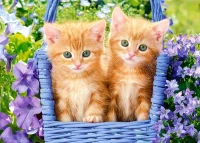 066247.webp.webp