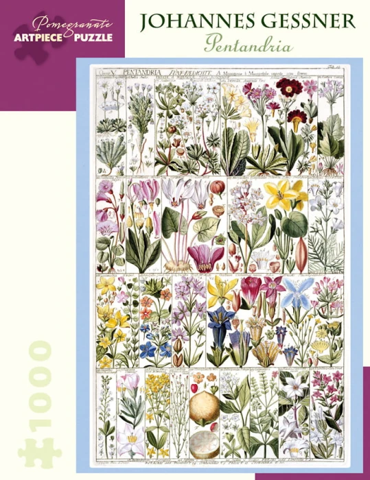 johannes-gessner-pentandria-jigsaw-puzzle-1000-pieces_65770-1_fs.jpg