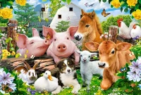 040339-1.webp.webp
