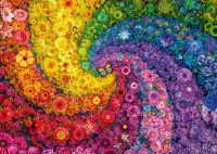 59744_Schmidt_Puzzle_Kunterbunter_Bluetenwirbel_Blumen_2000_Teile_Puzzle_72ppi_Motiv-481fd5d4.jpg