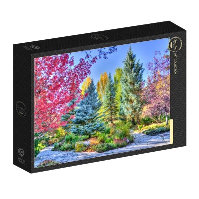 Grafika 1000 - Colorful Forest, Colorado, USA (Kolorowy Las, Kolorado, USA)
