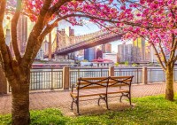 new-york-usa-jigsaw-puzzle-500-pieces.100260-1.fs.jpg