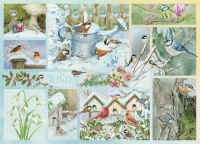 45104-Garden-Birds-in-Winter-rgb_900x651.webp