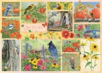 45103-Garden-Birds-in-Autumn-rgb_900x651.webp
