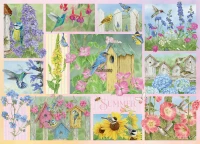 45102-Garden-Birds-in-Summer-rgb_900x651.webp