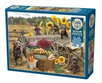 45096-Choc-Wagon-pkg-rgb_900x729.webp