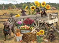 45096-Choc-Wagon-rgb_900x651.webp
