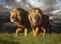 40288-Approaching-Storm-rgb_900x651.webp
