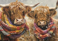 45100-Brrr-rgb_900x651.webp