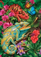 40299-Karma-Chameleons-rgb_651x900.webp