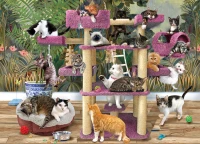 45095-Jungle-Cats-rgb_900x651.webp