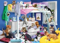 40307-Kitten-Slumber-Party-rgb_900x651.webp