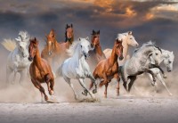 bluebird-puzzle-the-horse-race-jigsaw-puzzle-1000-pieces.91474-1.fs.jpg