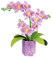 pol_pl_Sztuka-kwiatowa-Orchidea-Storczyk-10483_2.jpg