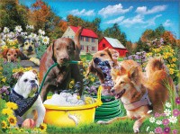 water-sports-jigsaw-puzzle-1000-pieces.100307-1.fs.jpg