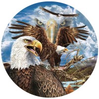 steven-michael-gardner-13-eagles-jigsaw-puzzle-1000-pieces.45105-1.fs.jpg