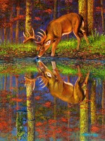 what-lies-below-jigsaw-puzzle-1000-pieces.100304-1.fs.jpg