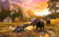 wild-serenity-jigsaw-puzzle-550-pieces.100282-1.fs.jpg