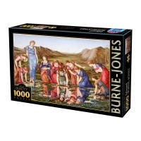 edward-burne-jones-the-mirror-of-venus-1875-jigsaw-puzzle-1000-pieces_53720-2_fs.jpg
