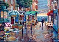 bluebird-puzzle-rainy-day-stroll-jigsaw-puzzle-500-pieces.101514-1.fs.jpg