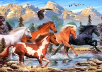 alipson-puzzle-wild-and-free-jigsaw-puzzle-500-pieces.101688-1.fs.jpg