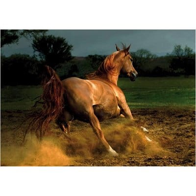 jigsaw-puzzle-1000-pieces-horses-beige-horse_8994-1.jpg