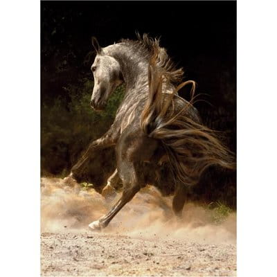 jigsaw-puzzle-1000-pieces-horses-horse-in-the-dust_8993-1.jpg