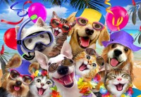 alipson-puzzle-selfie-beach-party-jigsaw-puzzle-1000-pieces.101683-1.fs.jpg