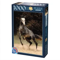 jigsaw-puzzle-1000-pieces-horses-spotted-horse_8985-2.jpg