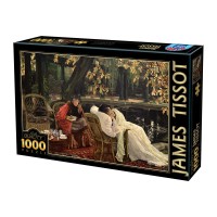 james-tissot-a-convalescent-jigsaw-puzzle-1000-pieces_53808-2_fs.jpg