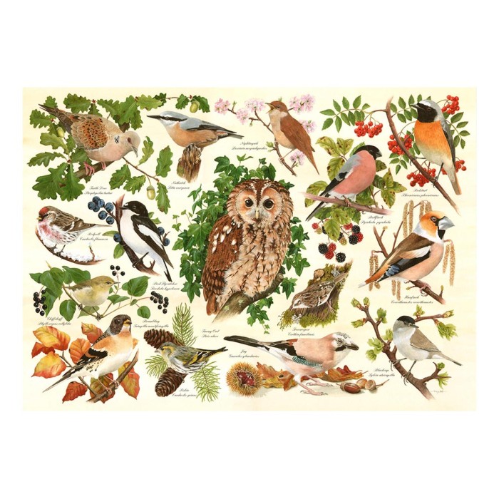 hop-house-of-puzzles-xxl-pieces-woodland-birds-jigsaw-puzzle-500-pieces.101973-1.fs.jpg