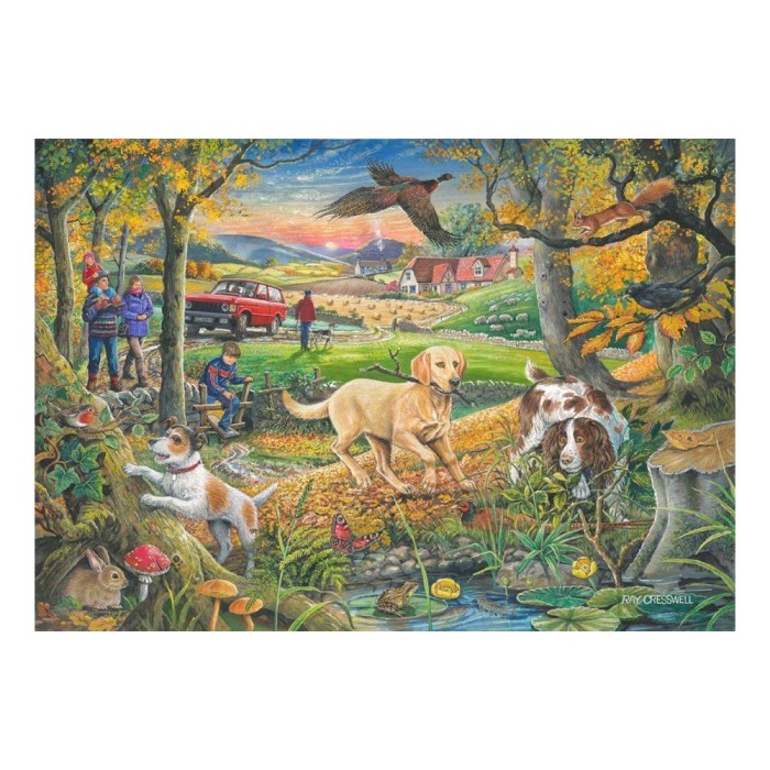hop-house-of-puzzles-xxl-pieces-catch-me-if-you-can-jigsaw-puzzle-500-pieces.101980-1.fs.jpg