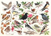 hop-house-of-puzzles-birds-in-my-garden-jigsaw-puzzle-1000-pieces.65177-1.fs.jpg