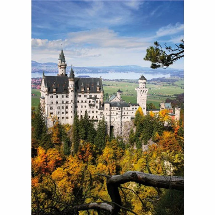 jigsaw-puzzle-1000-pieces-landscapes-neuschwansstein-castle_8917-1_fs.jpg