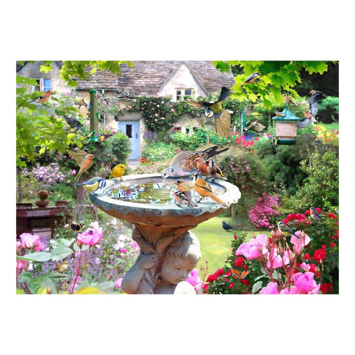 hop-house-of-puzzles-summer-birds-jigsaw-puzzle-1000-pieces.101910-1.fs.jpg