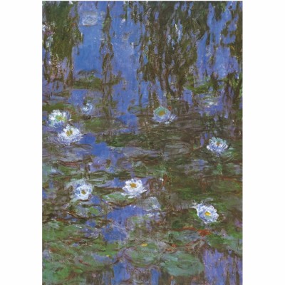 D-Toys 1000 - Monet Claude - Water Lilies