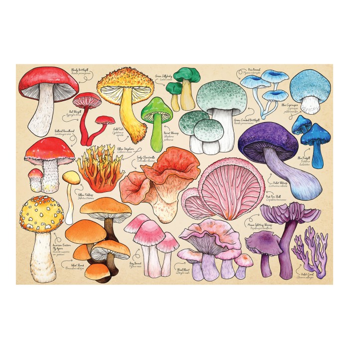 hop-house-of-puzzles-mushroom-mania-jigsaw-puzzle-1000-pieces.101990-1.fs.jpg