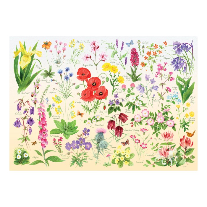 hop-house-of-puzzles-wildflowers-jigsaw-puzzle-1000-pieces.101987-1.fs.jpg