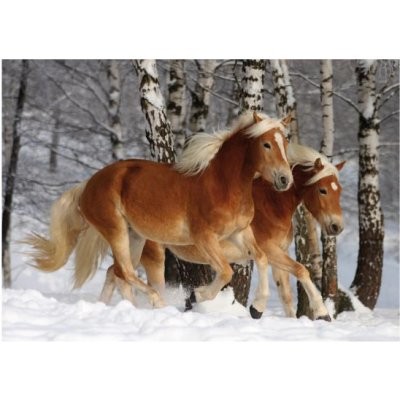 jigsaw-puzzle-239-pieces-horses-magic-halflinger-iii.8868-1.jpg