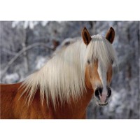 jigsaw-puzzle-239-pieces-horses-magic-haflinger-i.8866-1.jpg