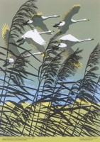 adult-jigsaw-puzzle-robert-gillmor-swans-flying-over-the-reeds-500-pieces-isbn-9781839648410.2.0.jpg