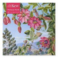 adult-jigsaw-puzzle-kew-marianne-north-view-in-the-brisbane-botanic-garden-500-pieces-isbn-9781839644344.0.jpg