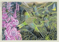 adult-jigsaw-puzzle-annie-soudain-foxgloves-and-finches-isbn-9781787558854.2.0.jpg