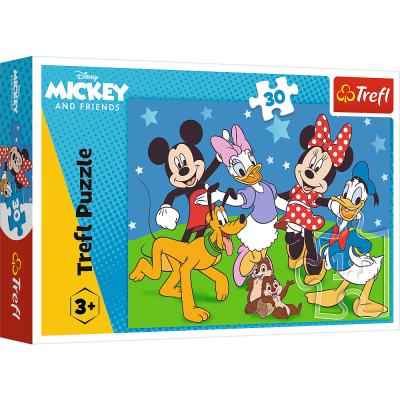 Trefl 30 - Disney Princess, Mysie sprawy